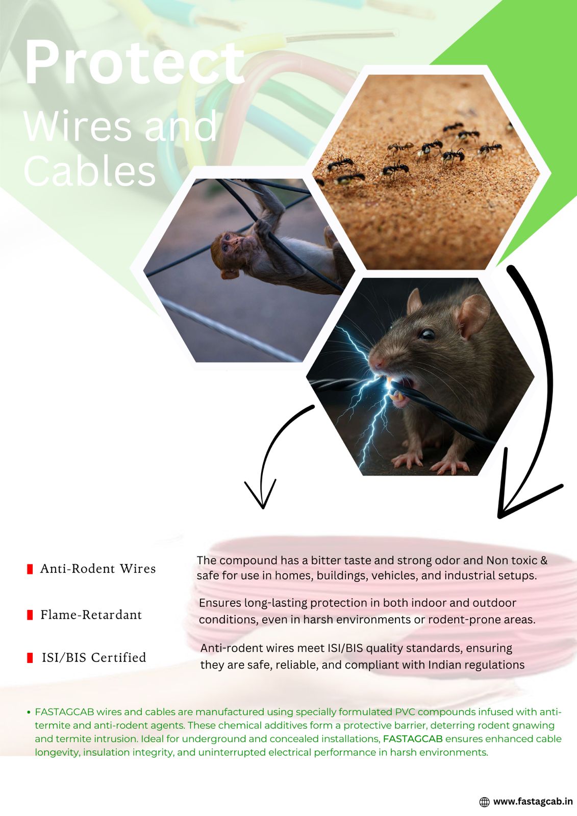 WhatsApp Image 2025-12-27 at 4.14.03 PM (1)